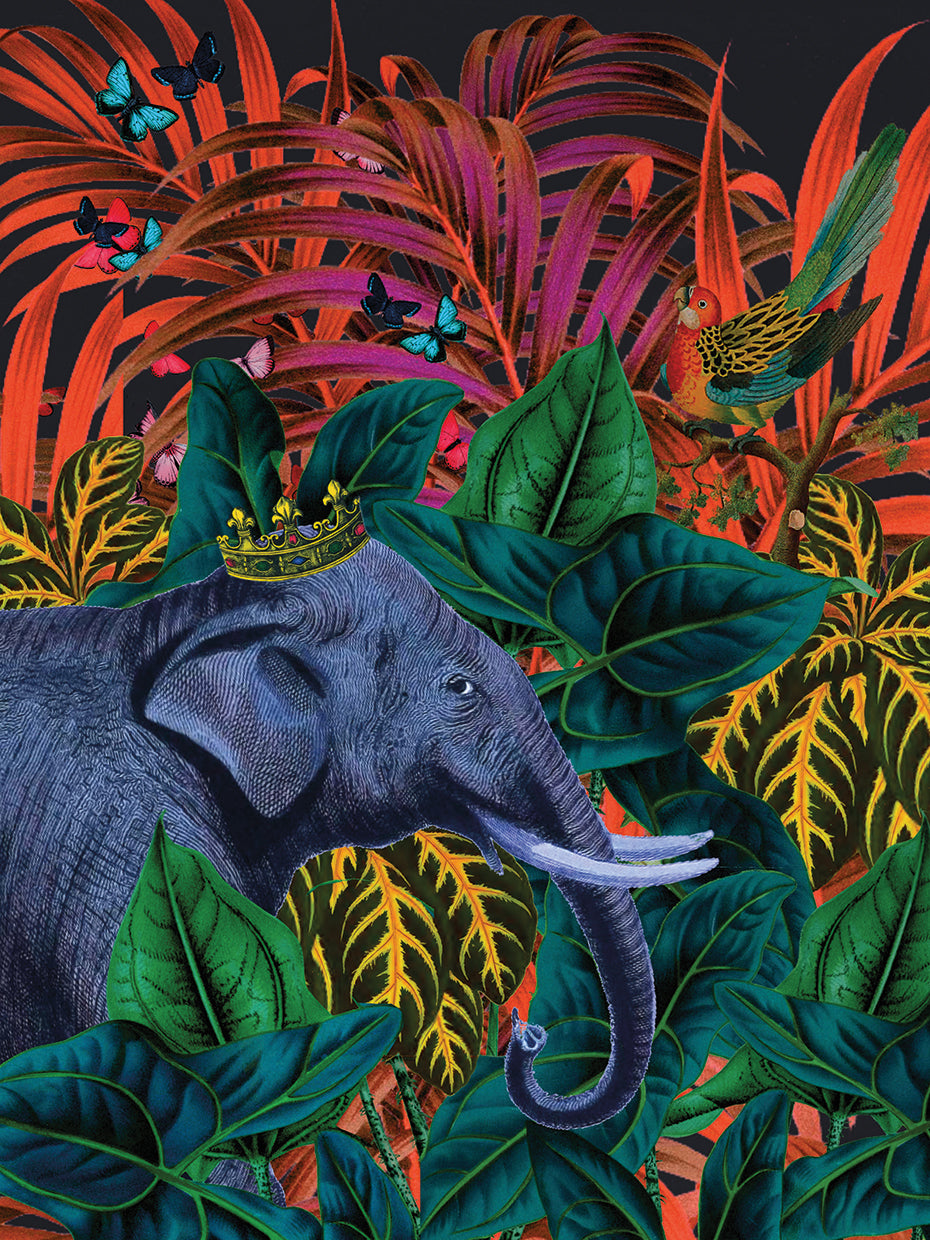 Tropical Jungle