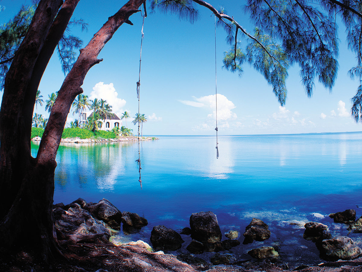 Florida Keys Rope Swing
