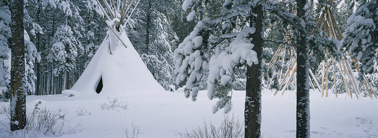 Nieve canadiense Lienzo