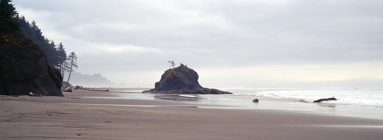 La Push Costa Gris Lienzo