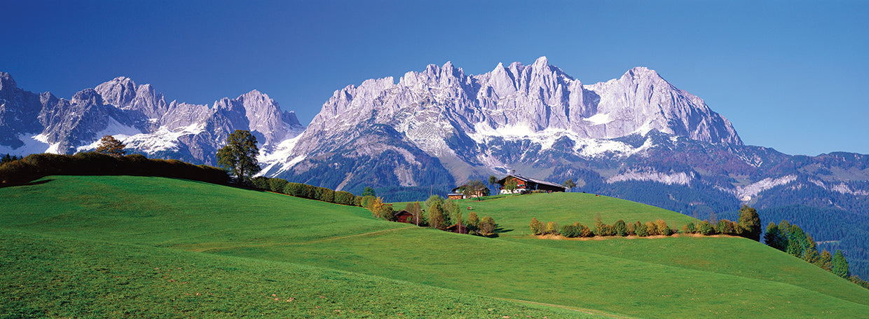 Campo austriaco Lienzo