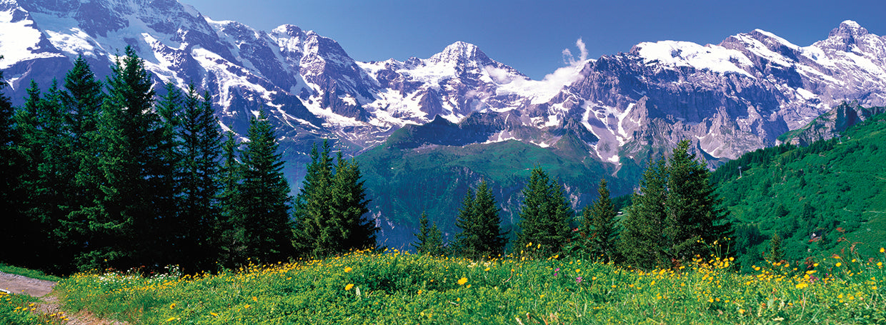 Ladera suiza Lienzo