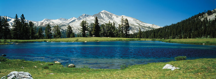 Cordillera de Sierra Nevada Lienzo
