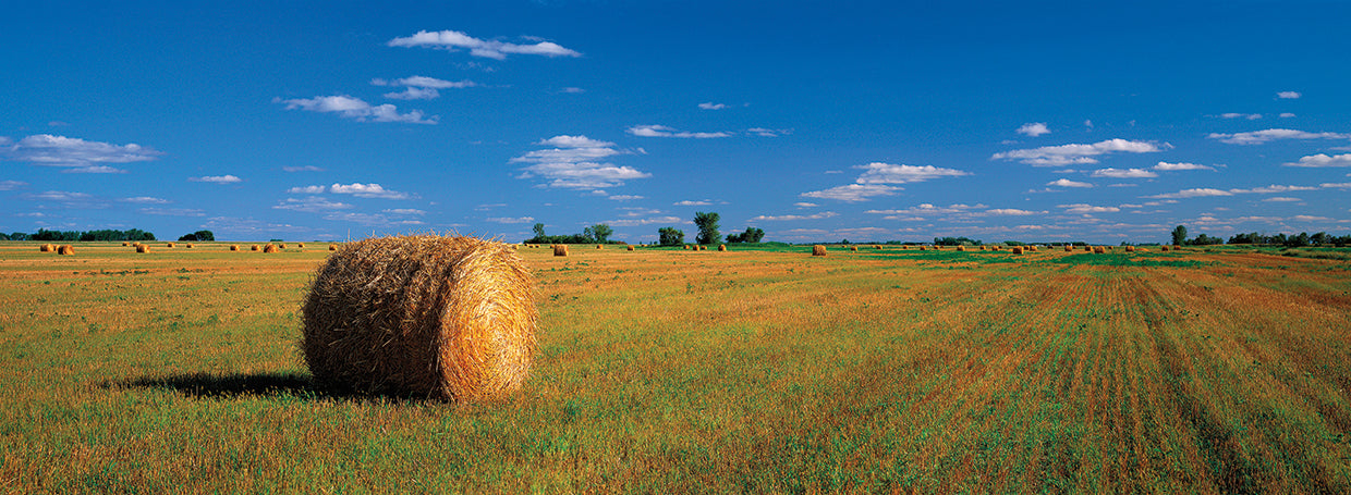 South Dakota Hay Bales