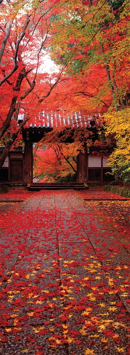 Komyoji Temple, Kyoto