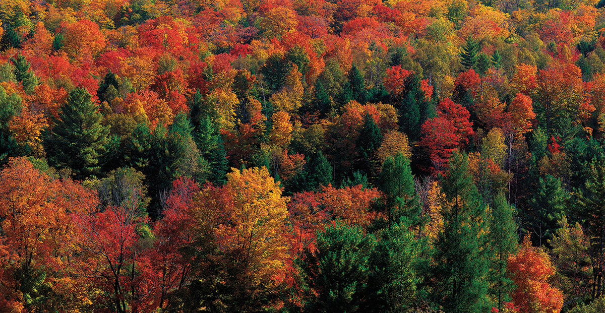 Vermont Colors