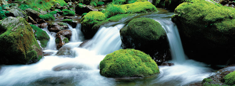 Arroyo de montaña, Kioto Lienzo