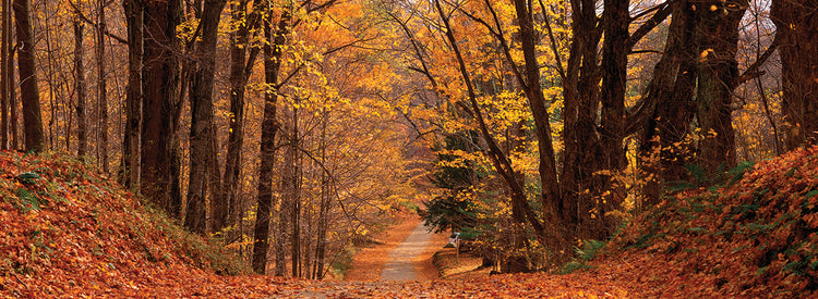 Pittsfield Colors Autumn