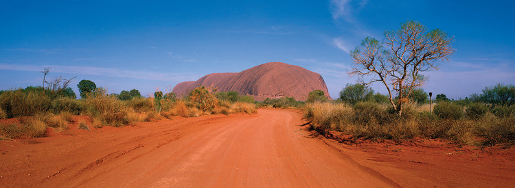 Camino de Ayers Rock Lienzo