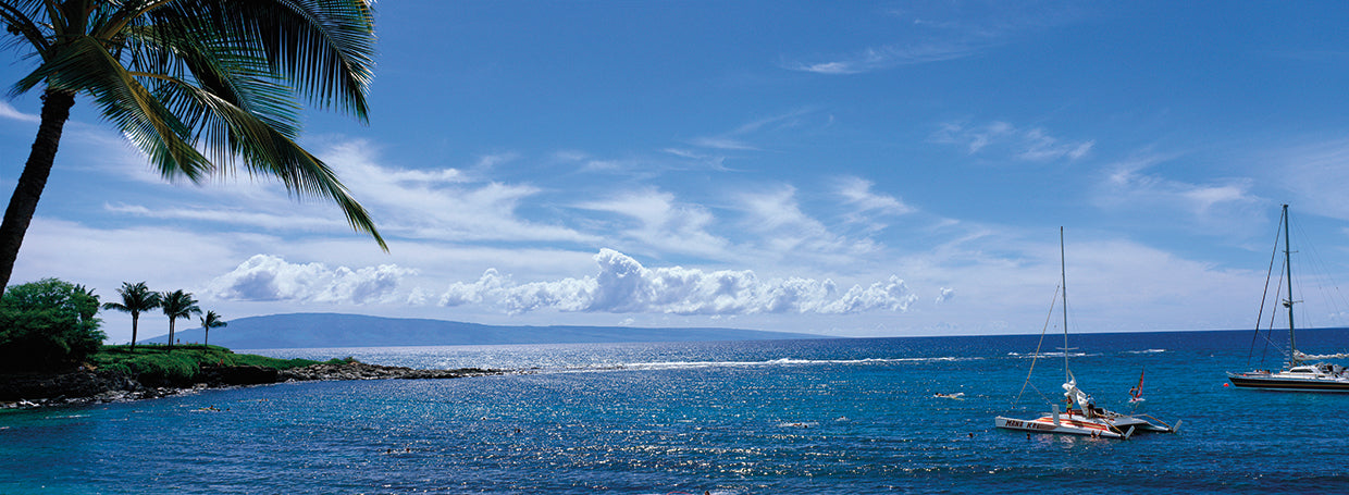 Olas en la bahía de Kapalua Lienzo