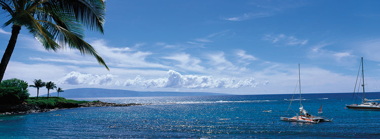 Olas en la bahía de Kapalua Lienzo