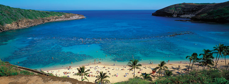 Playa en la bahía de Hanauma Lienzo