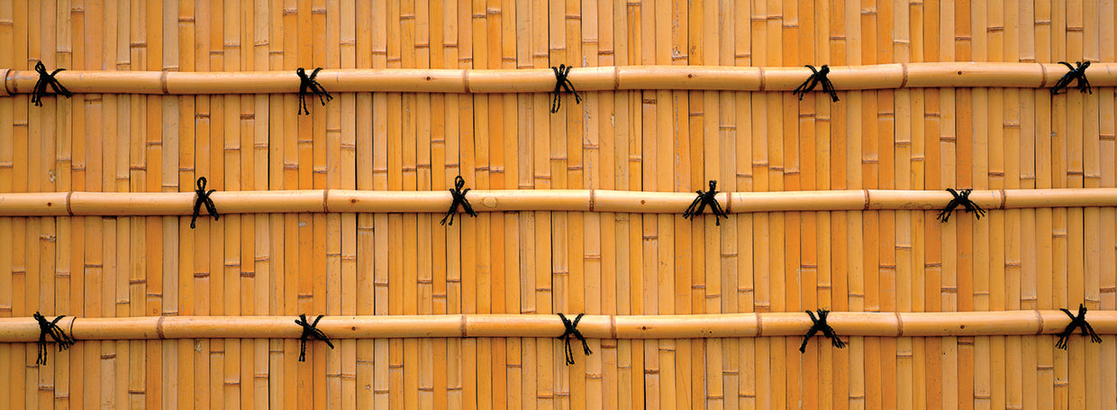 Bamboo Wall in Japan