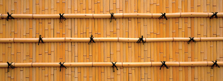 Bamboo Wall in Japan