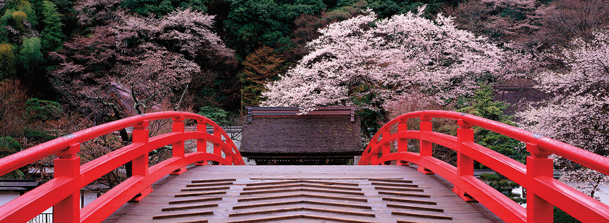 Puente al templo de Muroji Lienzo