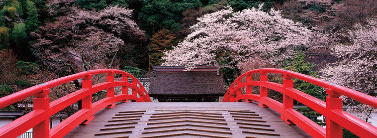 Puente al templo de Muroji Lienzo