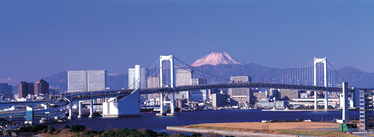Tokio bajo la montaña Lienzo
