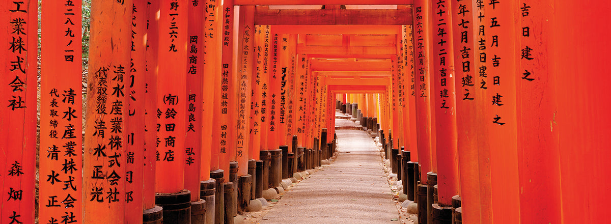 Torii Gates, Fushimi Inari Shrine