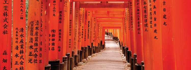 Torii Gates, Fushimi Inari Shrine