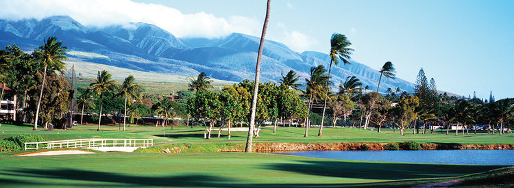 Green Kaanapali Golf Course
