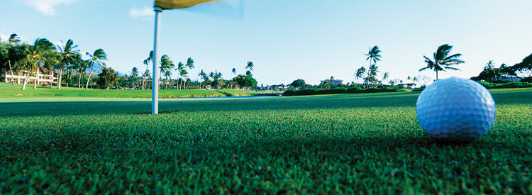 Golfing in Hawaii
