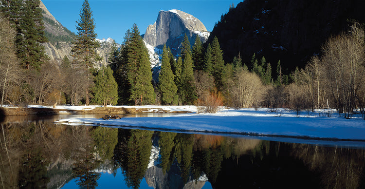 Reflejos de pino en Half Dome Lienzo