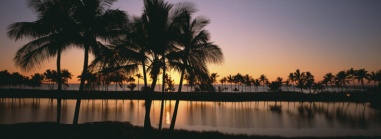 Anaehoomalu Beach Reflections