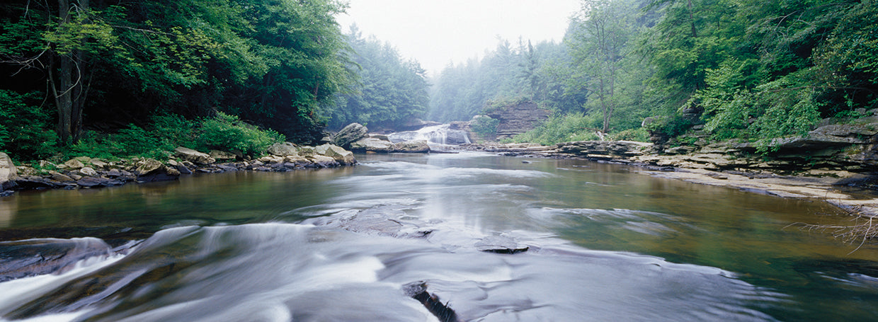 Río Youghiogheny que fluye Lienzo