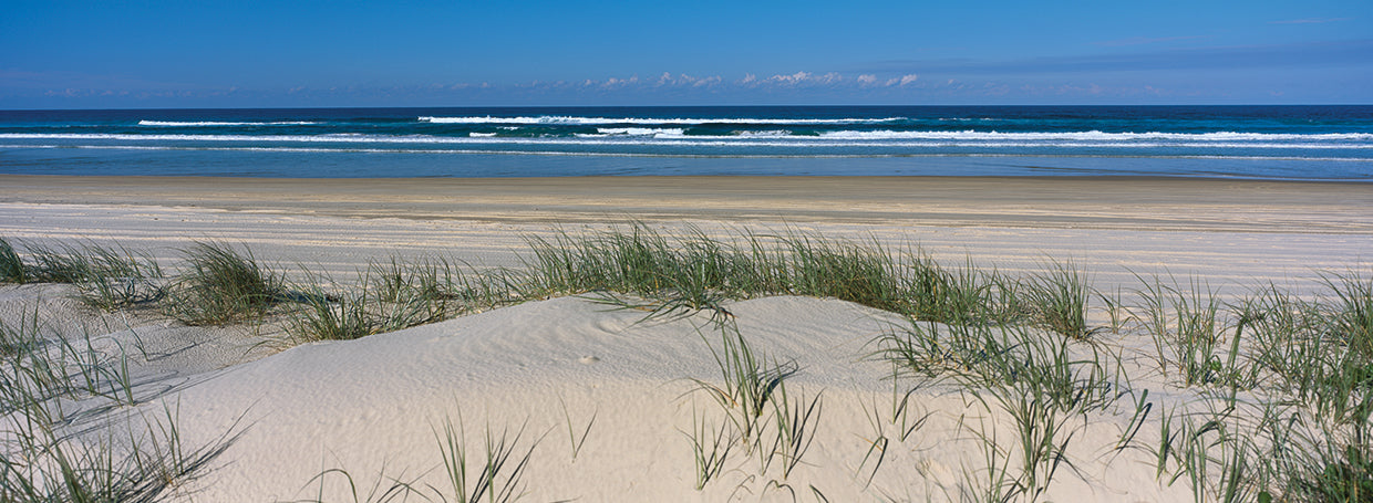 Tranquila playa australiana Lienzo