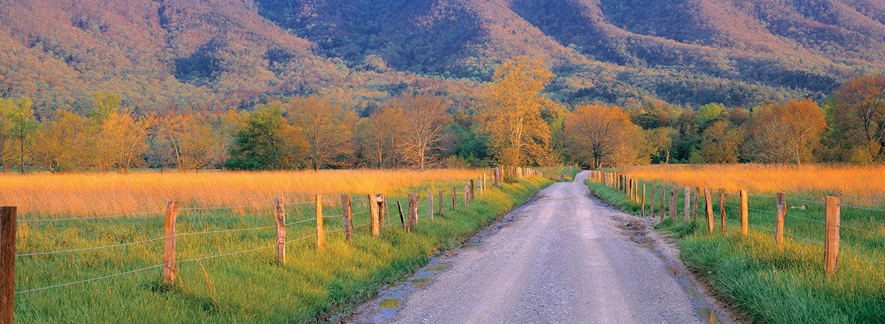Great Smoky Mountains Road