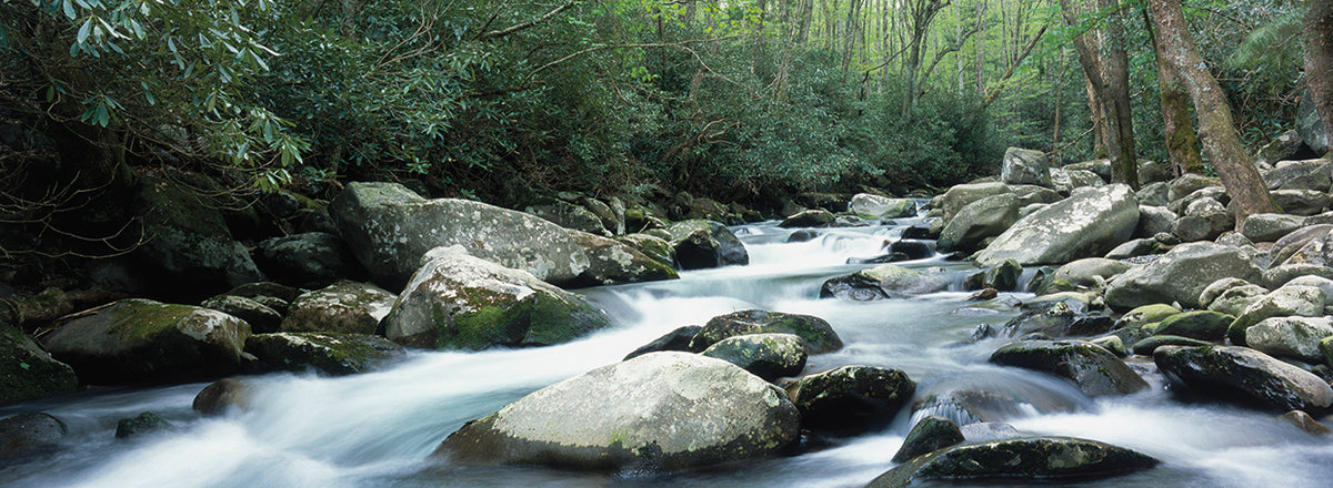 Porter Creek Rocks