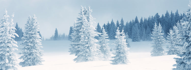 Nieve fresca, Taos Lienzo