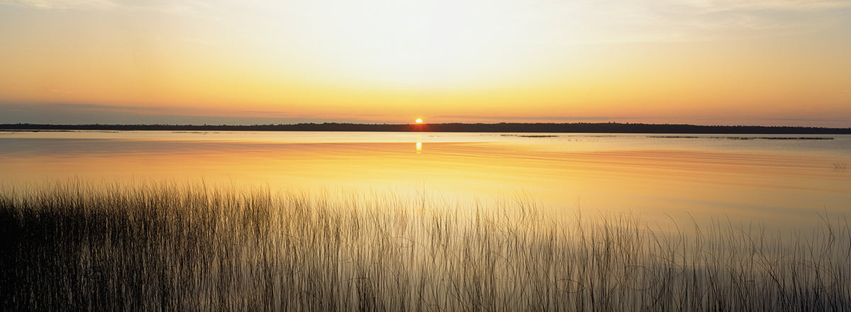 Golden Sunrise over Lake Michigan