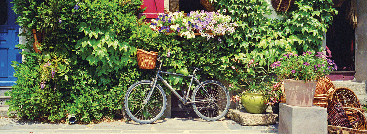 Bicicleta con encanto en Francia Lienzo
