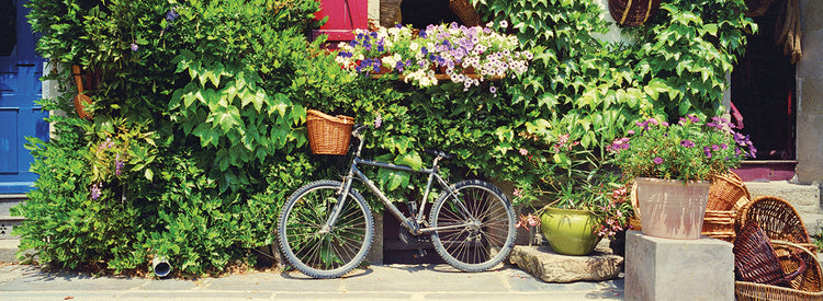 Bicicleta con encanto en Francia Lienzo