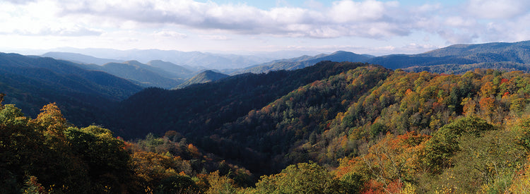 Sobre los Great Smokies Lienzo