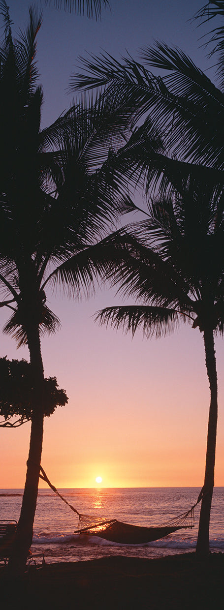 Maui Silhouettes