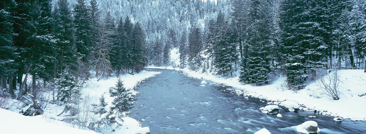 Invierno en el río Gallatin Lienzo