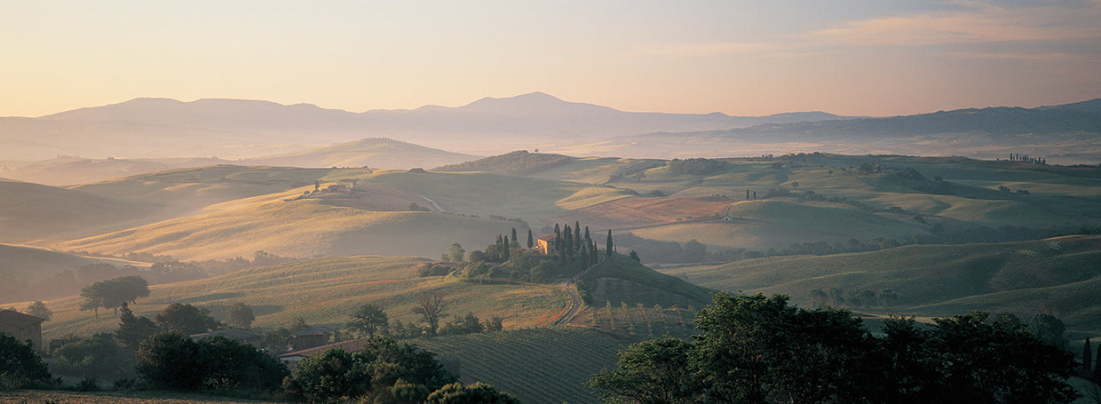 Tuscany Farms
