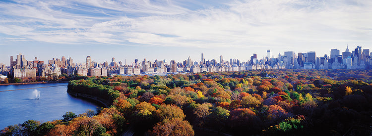 Buildings and Trees, NYC