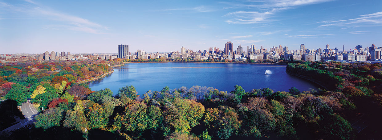 Central Park Views