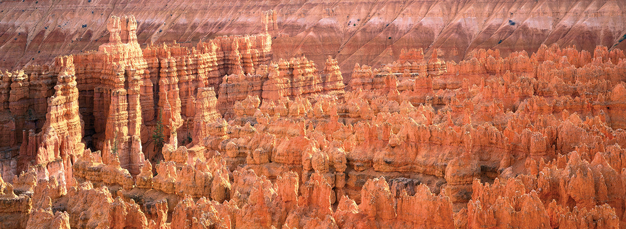 Bryce Canyon desde arriba Lienzo