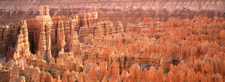 Bryce Canyon desde arriba Lienzo