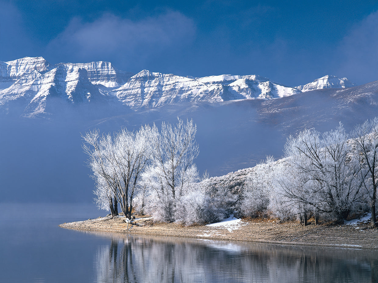 Blancos de Deer Creek Lienzo