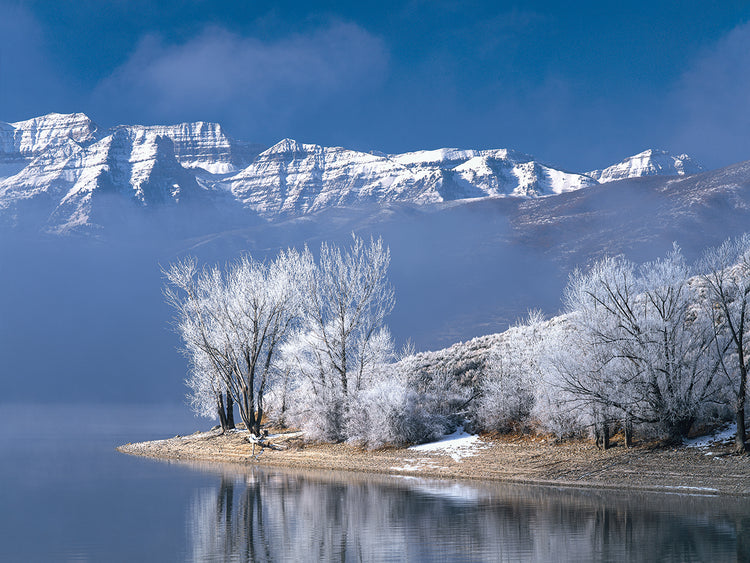 Blancos de Deer Creek Lienzo