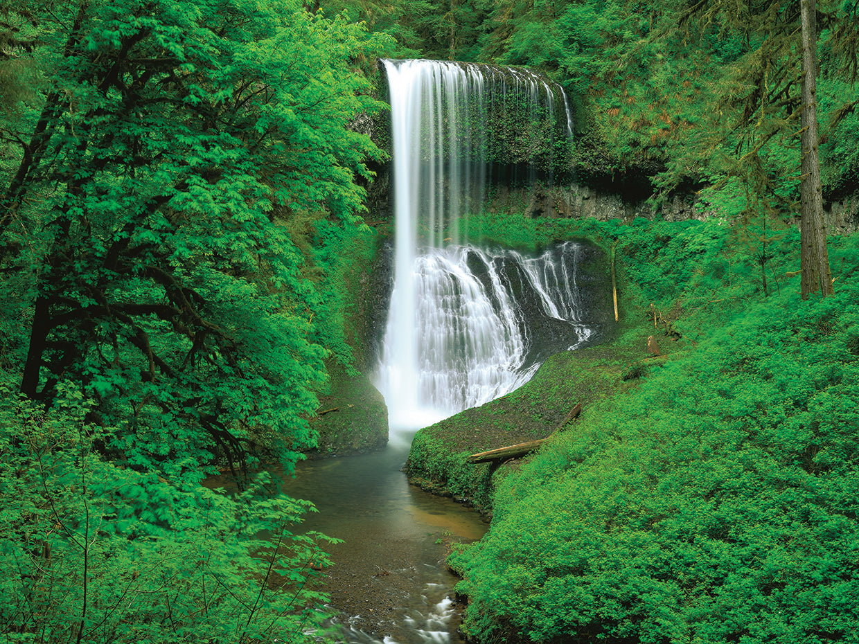 Cataratas de plata Lienzo