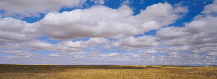 Cielos de pradera Lienzo