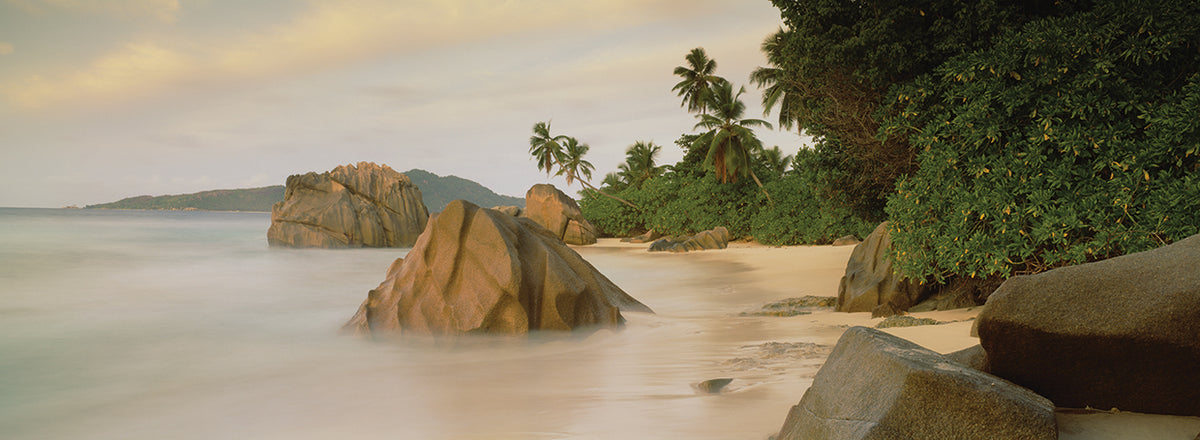 Misty Island Coast