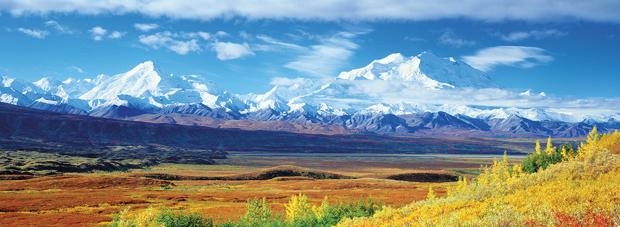 Picos Denali Lienzo