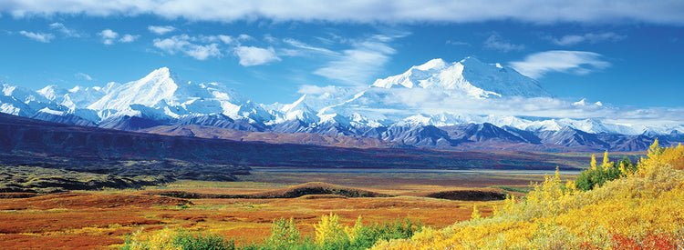 Picos Denali Lienzo